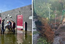 Cerrarán áreas de parques Metropolitano y del Arte tras daños por lluvias