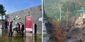 Cerrarán áreas de parques Metropolitano y del Arte tras daños por lluvias