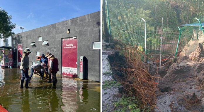 Cerrarán áreas de parques Metropolitano y del Arte tras daños por lluvias
