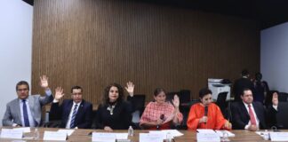 Analizan en Comisión proceso de consulta a comunidades indígenas