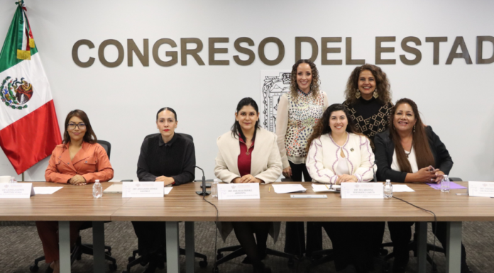 Comisión avala exhorto para fortalecer la Red Violeta Puebla