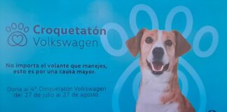 Volkswagen presenta “Croquetatón” para alimentar a perritos de la calle