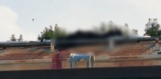 Asesinan a guardia de Ferrosur dentro de instalaciones en Puebla