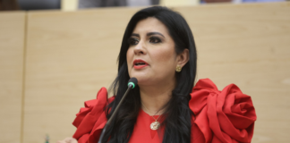 Delfina Pozos plantea endurecer sanciones por abuso sexual