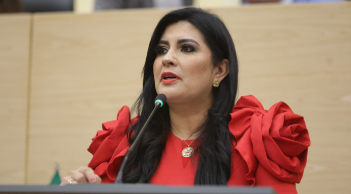 Delfina Pozos plantea endurecer sanciones por abuso sexual