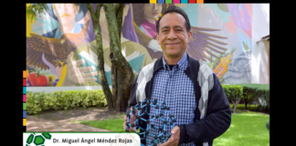 Investigador UDLAP explica la nanotecnología en el fútbol