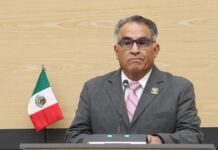 Proponen facultar a ayuntamientos para limpieza de lotes baldíos
