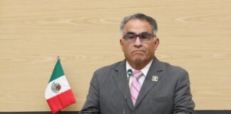 Proponen facultar a ayuntamientos para limpieza de lotes baldíos