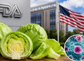 EU rectifica vínculo de lechuga mexicana con brote de ciclosporiasis