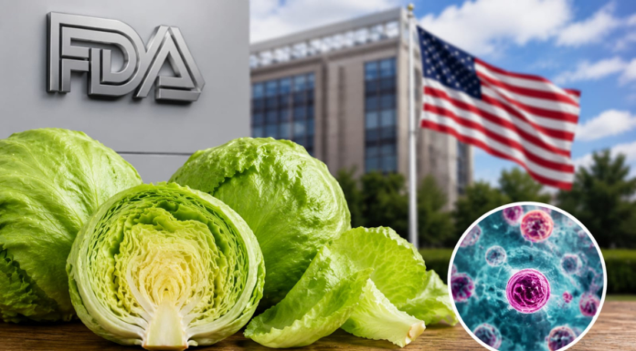 EU rectifica vínculo de lechuga mexicana con brote de ciclosporiasis