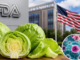 EU rectifica vínculo de lechuga mexicana con brote de ciclosporiasis