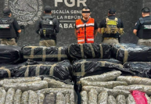 Decomisan 1.2 toneladas de marihuana en Tabasco