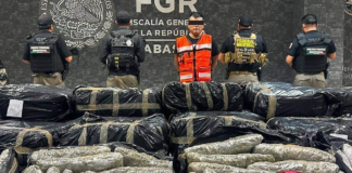 Decomisan 1.2 toneladas de marihuana en Tabasco
