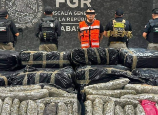 Decomisan 1.2 toneladas de marihuana en Tabasco