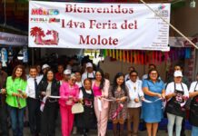 Tonantzin Fernández inaugura 14ª Feria del Molote