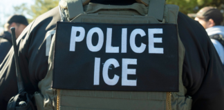 México denunciará muertes de mexicanos bajo custodia de ICE