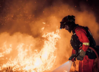 Incendios forestales en Madrid, entre los más graves en su historia