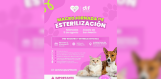 DIF Texmelucan anuncia macrojornada de esterilización animal
