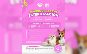 DIF Texmelucan anuncia macrojornada de esterilización animal