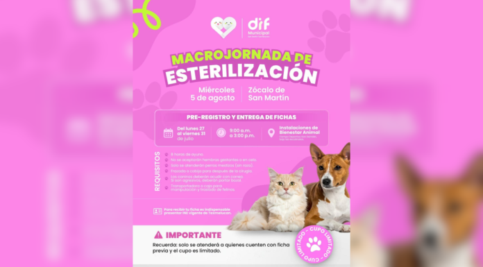 DIF Texmelucan anuncia macrojornada de esterilización animal
