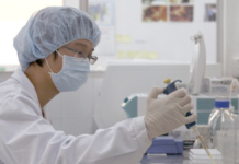 Una de cada cinco personas desarrollará cáncer en su vida: OMS