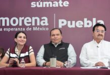 ¿PAN quiere a los descartados de Morena? Así lo asegura coordinador