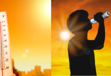OMS pide reforzar sistemas de salud ante calor extremo