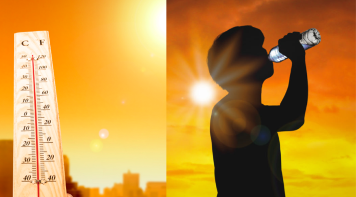 OMS pide reforzar sistemas de salud ante calor extremo