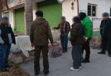 Profepa asegura 58 aves en Puebla que serían vendidas ilegalmente