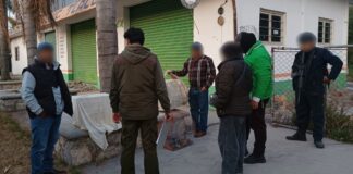 Profepa asegura 58 aves en Puebla que serían vendidas ilegalmente