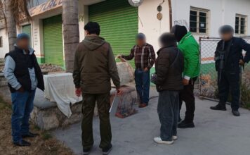 Profepa asegura 58 aves en Puebla que serían vendidas ilegalmente