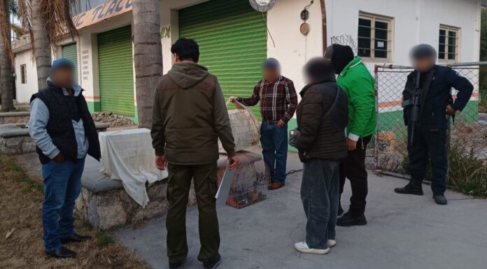 Profepa asegura 58 aves en Puebla que serían vendidas ilegalmente