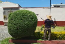 San Pedro Cholula da mantenimiento a servicios públicos para mejorar imagen urbana