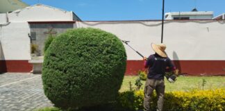 San Pedro Cholula da mantenimiento a servicios públicos para mejorar imagen urbana