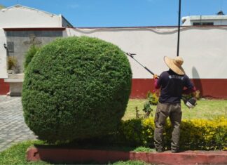 San Pedro Cholula da mantenimiento a servicios públicos para mejorar imagen urbana