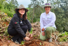 Reconocen manejo sustentable de bosques en ejido de Poxcuatzingo