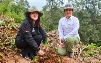 Reconocen manejo sustentable de bosques en ejido de Poxcuatzingo