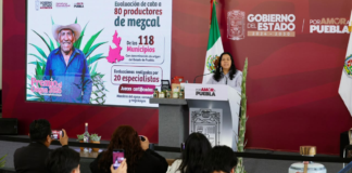 Puebla lanza el Premio al Origen 2026 para el mezcal