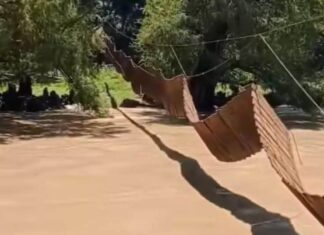 Colapsa puente colgante en Guadalupe Santa Ana por lluvias