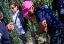 Lupita Cuautle encabeza reforestación en Telesecundaria Otilio Montaño