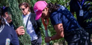 Lupita Cuautle encabeza reforestación en Telesecundaria Otilio Montaño