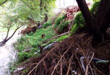 Temen obstrucción del río Atoyac por ramas arrojadas en fraccionamiento Villa Magna
