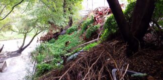 Temen obstrucción del río Atoyac por ramas arrojadas en fraccionamiento Villa Magna
