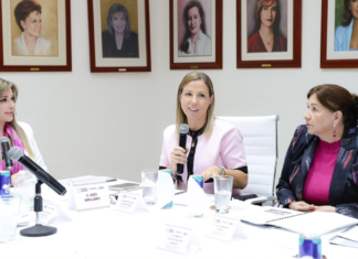 SEDIF analiza resultados y estrategias para ampliar servicios