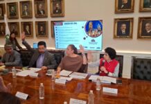 Laura Artemisa encabeza instalación del Subcomité Sectorial de Bienestar Social