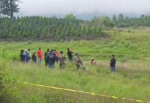 Huauchinango: hallan restos humanos en estado de descomposición