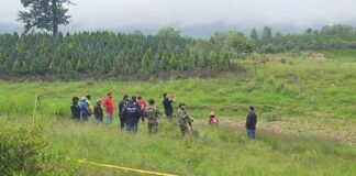 Huauchinango: hallan restos humanos en estado de descomposición