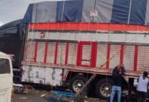 Roban tractocamión cargado de flores en la Puebla-Orizaba