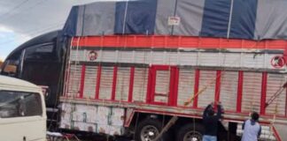 Roban tractocamión cargado de flores en la Puebla-Orizaba