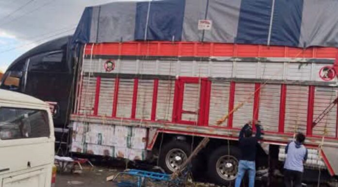 Roban tractocamión cargado de flores en la Puebla-Orizaba